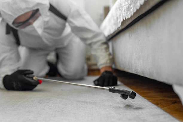 Professional Bed Bug Control technician working in Ellicott City, MD