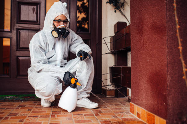 Reliable Bed Bug Control contractor in Ellicott City, MD by Nex Pest Control
