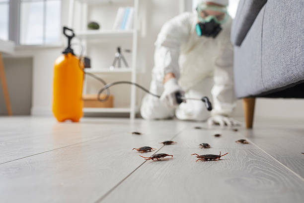 Trusted Mosquito Control service in Ellicott City, MD - Nex Pest Control