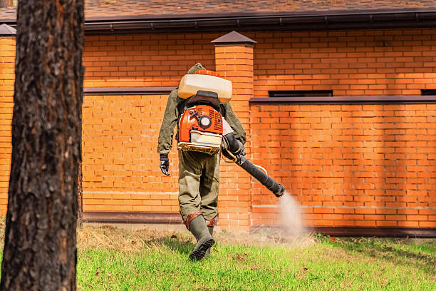 Trusted Emergency Pest Control service in Ellicott City, MD - Nex Pest Control